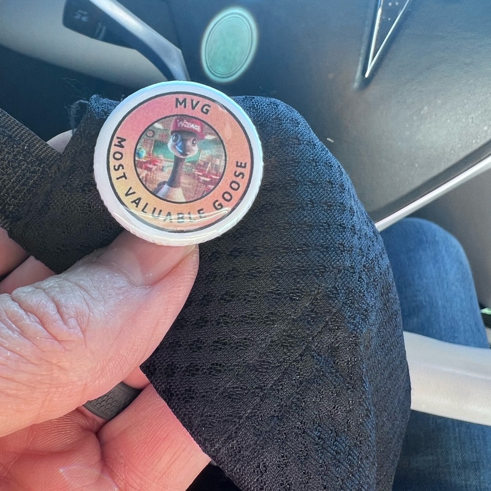RARE MVG Most Valuable Goose Pin WAWA Rare Pin NEW🦆